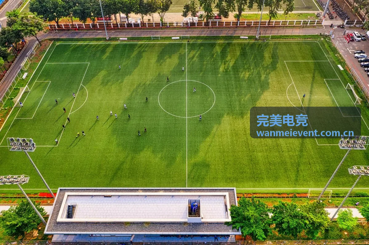 完美电竞赛事战队TE图标